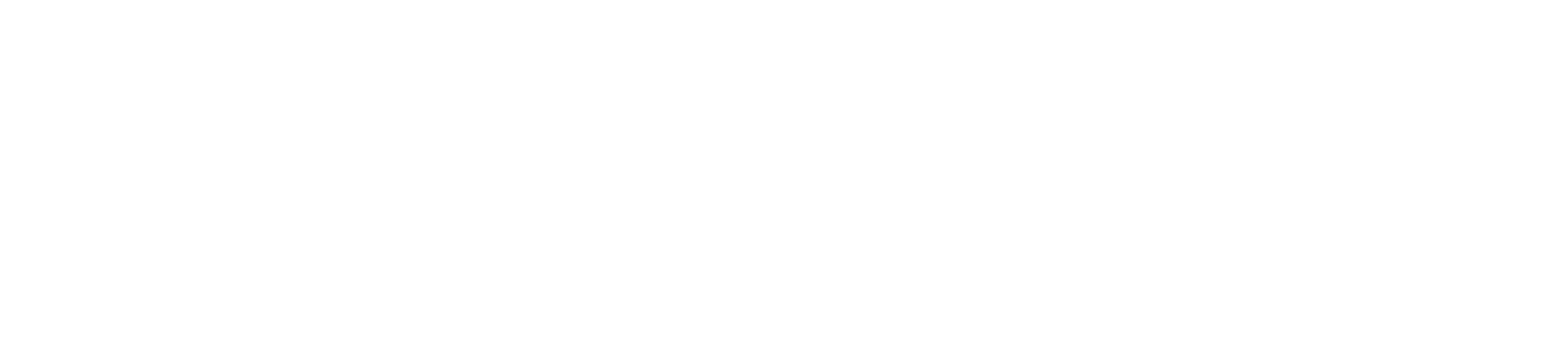 nordimprim_logo_blanc.webp